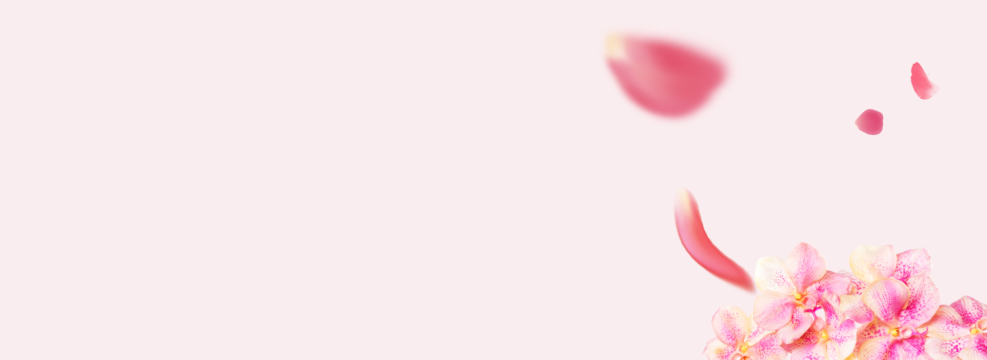 bg-slider-home2.jpg